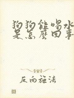 狗狗能喝水能尿是怎么回事