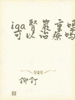 iga肾严重吗可以治疗吗