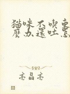 猫咪不吃东西怎么办还吐怎么办