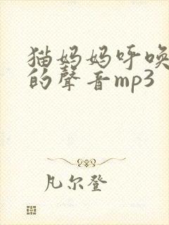 猫妈妈呼唤小猫的声音mp3