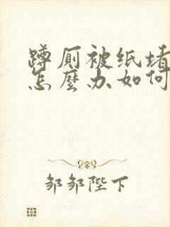 蹲厕被纸堵住了怎么办如何疏通