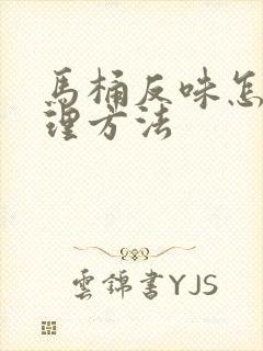 马桶反味怎么处理方法