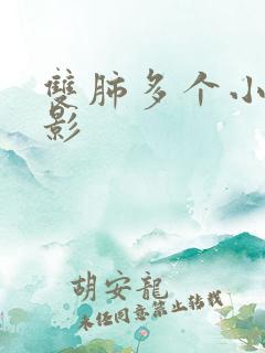 双肺多个小结节影