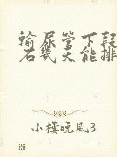 输尿管下段有结石几天能排出