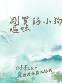 刚买的小狗有点呕吐