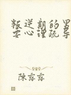 叛逆期的男孩需要心理疏导吗