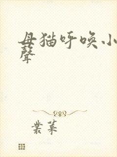 母猫呼唤小猫叫声