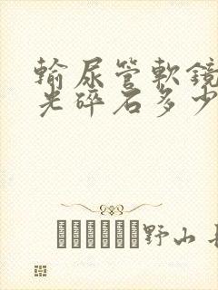 输尿管软镜下激光碎石多少钱