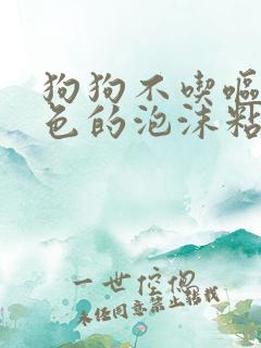 狗狗不吃呕吐白色的泡沫粘液