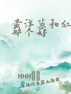 黄洋葱和红洋葱哪个好