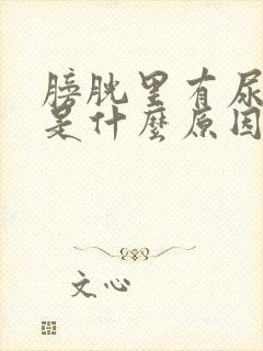 膀胱里有尿就疼是什么原因