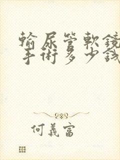 输尿管软镜碎石手术多少钱