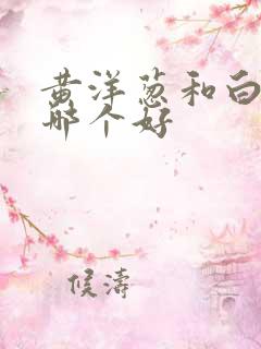 黄洋葱和白洋葱哪个好