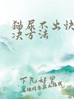 猫尿不出快速解决方法