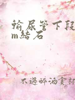 输尿管下段9mm结石