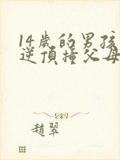 14岁的男孩叛逆顶撞父母怎么办