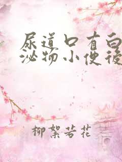 尿道口有白色分泌物小便后有刺痛感