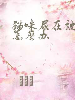 猫咪尿在被子上怎么办