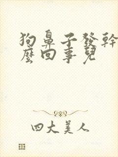 狗鼻子发干是怎么回事儿