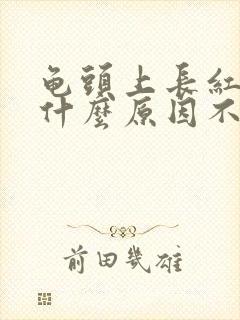 龟头上长红点是什么原因不痛不痒