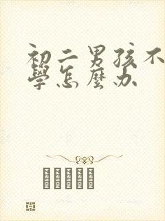 初二男孩不想上学怎么办