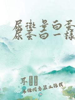 尿微量白蛋白和尿蛋白一样吗?