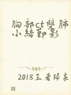 胸部ct双肺微小结节影