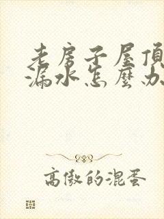 老房子屋顶瓦片漏水怎么办