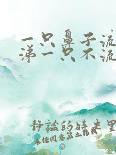 一只鼻子流清鼻涕一只不流