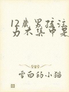 12岁男孩注意力不集中是怎么回事