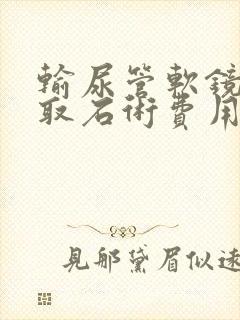 输尿管软镜碎石取石术费用