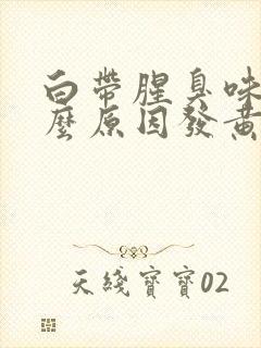 白带腥臭味是什么原因发黄绿色