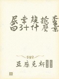 尿常规检查尿蛋白3+什么意思