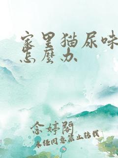 家里猫尿味太重怎么办