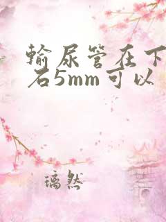 输尿管在下段结石5mm可以自行排出吗