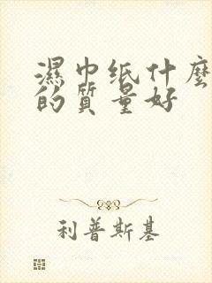 湿巾纸什么牌子的质量好