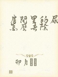 房间里的尿臭味怎么去除