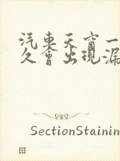 汽车天窗一般多久会出现漏水