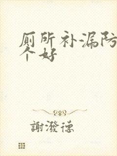 厕所补漏防水哪个好