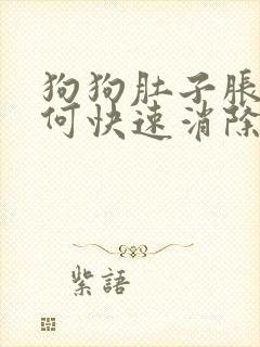 狗狗肚子胀气如何快速消除