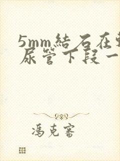 5mm结石在输尿管下段一般多久能排出