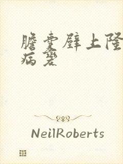 胆囊壁上隆起样病变