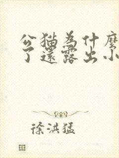 公猫为什么绝育了还露出小丁丁