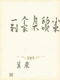 一个月的小狗刚到家不吃东西怎么办