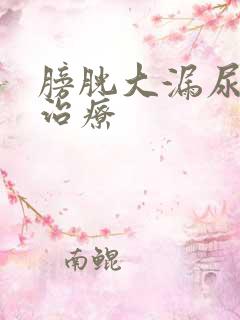 膀胱大漏尿怎么治疗