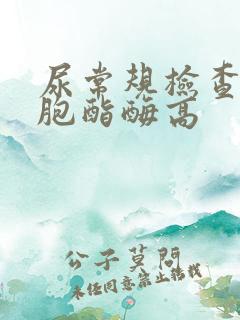 尿常规检查白细胞酯酶高