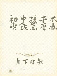 初中孩子不好好吃饭怎么办