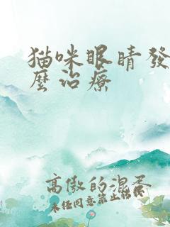 猫咪眼睛发炎怎么治疗