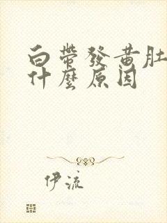 白带发黄肚子疼什么原因