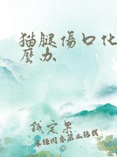 猫腿伤口化脓怎么办